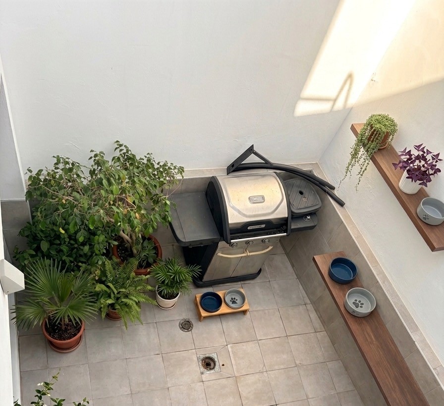 Patio con plantas, agua y comederos